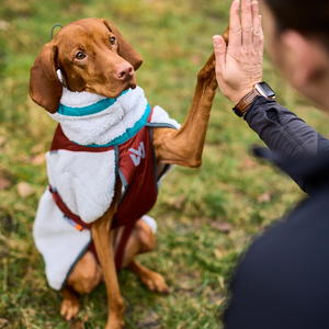 Non-Stop Dogwear Trekking Fleece Jacket - Abrigo para perros