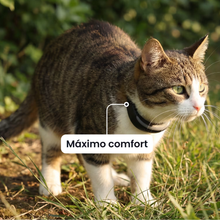 Cargar imagen en el visor de la galería, Tractive Cat 6 Mini - Localizador GPS con collar para gatos