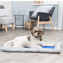 Cargar imagen en el visor de la galería, Cojín refrescante para perros - Cool Dreamer