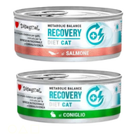 Disugual Diet Recovery - Latas húmedas para gatos