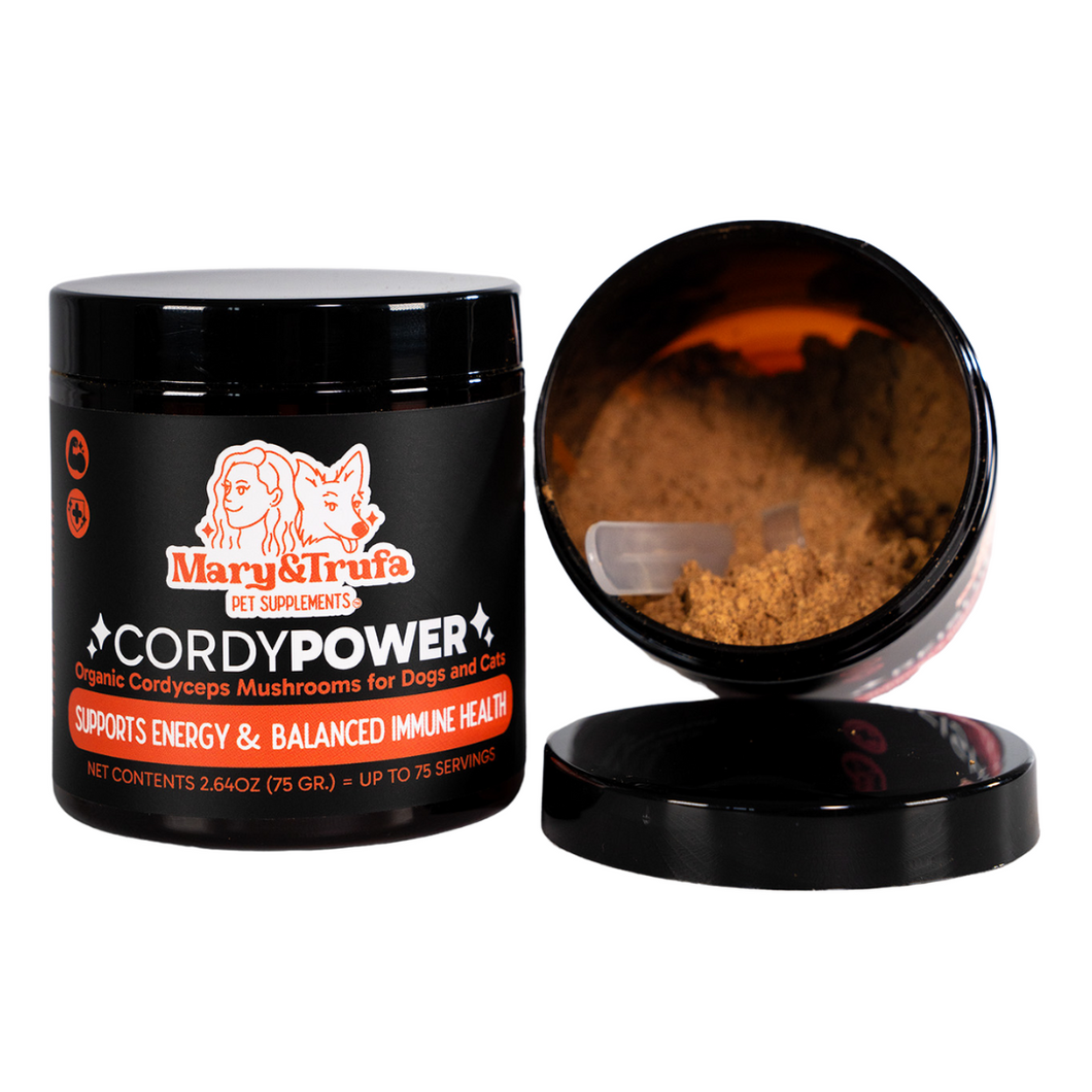 Mary&Trufa - Cordy Power - Cordyceps orgánico