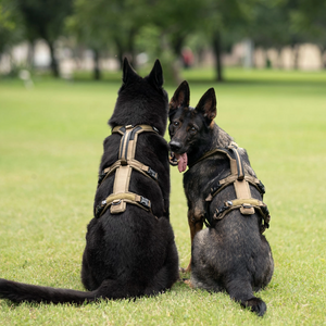 Non-Stop Dogwear Line Harness Long WD - Arnés para perros