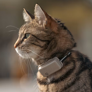 Tractive Cat Mini - Localizador GPS para gatos y perros mini -40%