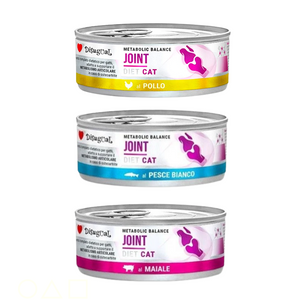 Disugual Articulaciones - Latas de comida húmeda para gatos