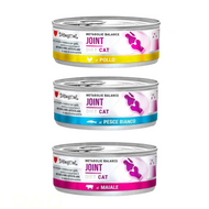 Disugual Articulaciones - Latas de comida húmeda para gatos