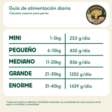 Cargar imagen en el visor de la galería, Wild Balance - Cazuelas caseras de comida húmeda