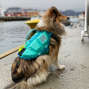 Non-Stop Dogwear - Protector Life Jacket - Chaleco salvavidas