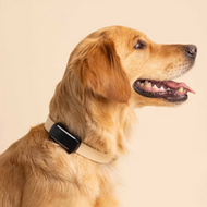 Tractive DOG 6 - Localizador GPS para perros