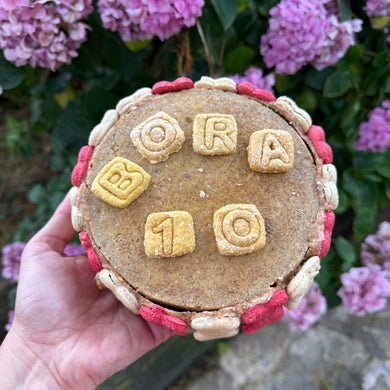 Tarta de cumpleaños perro - Clásica de frutas