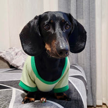 Cargar imagen en el visor de la galería, Mochizoo - mini perritos articulados