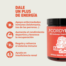 Cargar imagen en el visor de la galería, Mary&amp;Trufa - Cordy Power - Cordyceps orgánico