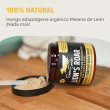 Cargar imagen en el visor de la galería, Lion's Roar - Hongo Melena de León