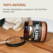 Cargar imagen en el visor de la galería, Turkey Tail - Hongo Inmunomodulador
