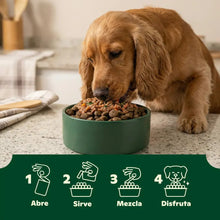 Cargar imagen en el visor de la galería, Wild Balance - Wild Toppers