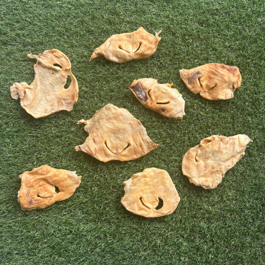 Morro de oveja