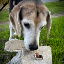 Cargar imagen en el visor de la galería, Mochizoo - mini perritos articulados