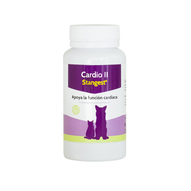 Stangest - Cardio II - Carnitina