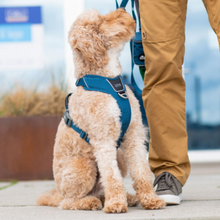 Cargar imagen en el visor de la galería, Arnés Dog Copenhagen Comfort Walk Pro - Modelo V3