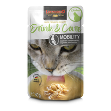 Cargar imagen en el visor de la galería, Leonardo Drink - caldo para gatos