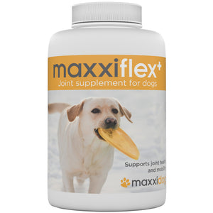 Maxxiflex+ - Condroprotector