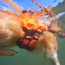 Cargar imagen en el visor de la galería, Non-Stop Dogwear - Protector Life Jacket - Chaleco salvavidas