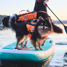 Cargar imagen en el visor de la galería, Non-Stop Dogwear - Protector Life Jacket - Chaleco salvavidas