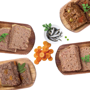 Catit Cuisine - Paté de vacuno con zanahorias