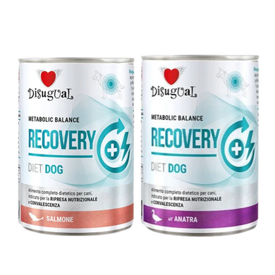 Disugual Diet Recovery - Latas de comida húmeda