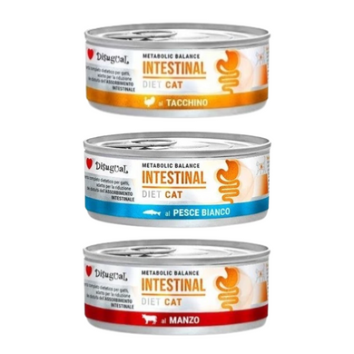 Disugual Intestinal - Latas de comida húmeda para gatos