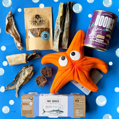 TRUFAS BOX MAYO - Aqua Box