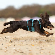 Cargar imagen en el visor de la galería, Non-Stop Dogwear Ramble Harness Long - Arnés para perros