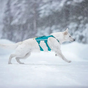 Non-Stop Dogwear Ramble Harness Long - Arnés para perros