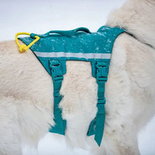 Cargar imagen en el visor de la galería, Non-Stop Dogwear Ramble Harness Long - Arnés para perros