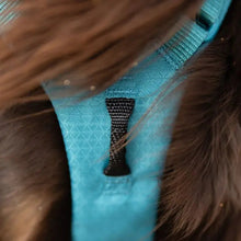 Cargar imagen en el visor de la galería, Non-Stop Dogwear Ramble Harness Long - Arnés para perros