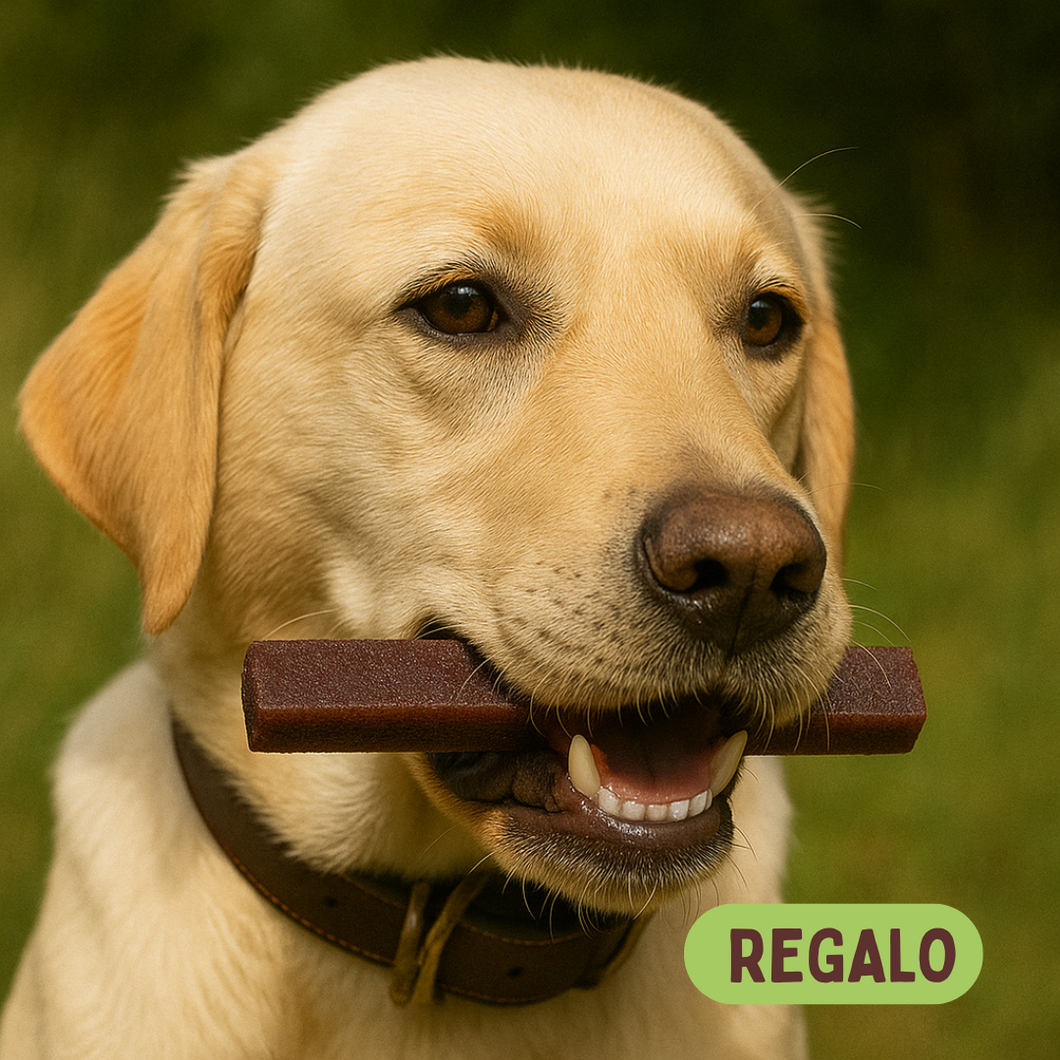REGALO - Barrita del Himalaya Dentamust Arándano rojo (GRATIS pedidos +50€)