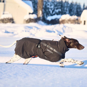 Non-Stop Dogwear Trekking Insulated Jacket - Abrigo y chubasquero