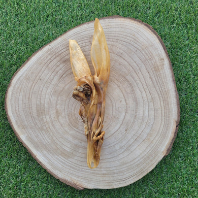 Oreja de cordero con piel