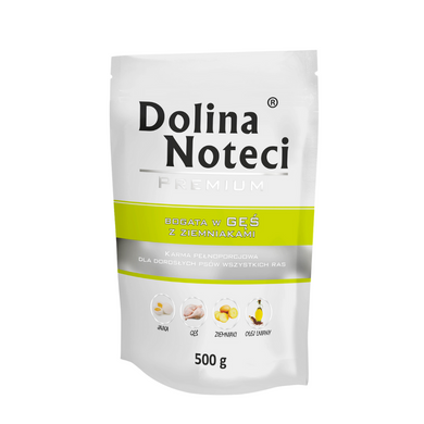 Dolina Noteci - Ganso