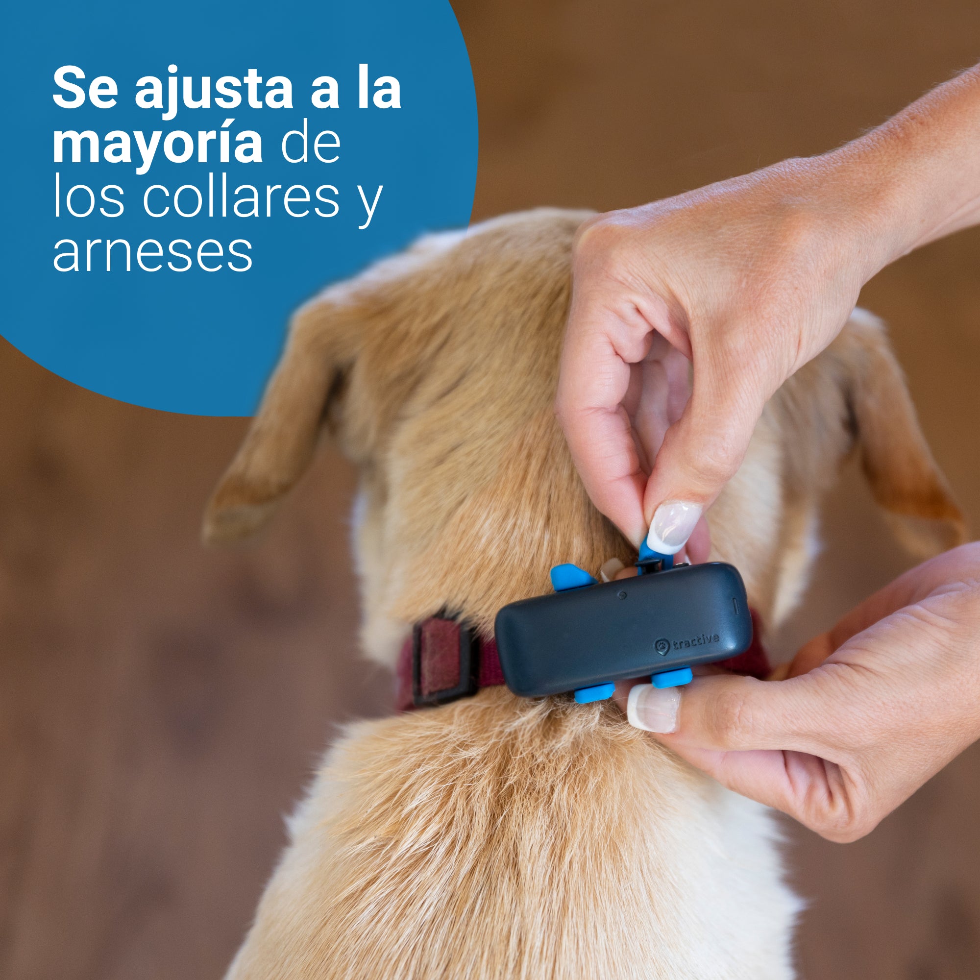 Tractive GPS DOG 4 - Collar GPS perros y seguimiento de actividad USADO