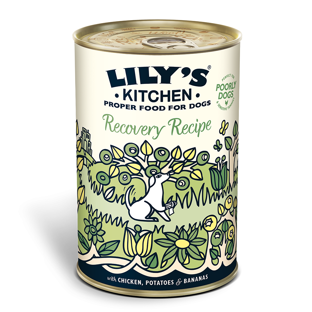 Lily's Kitchen Recovery Recipe - Lata de Pollo y Plátano