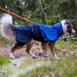 Non-Stop Dogwear Fjord Raincoat - Chubasquero para perros