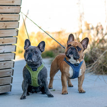 Cargar imagen en el visor de la galería, Arnés Dog Copenhagen Comfort Walk Go