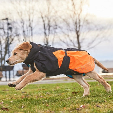 Non-Stop Dogwear Glacier Jacket 2.0 - Abrigo y chubasquero