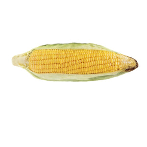 Mazorca de maíz de matatabi