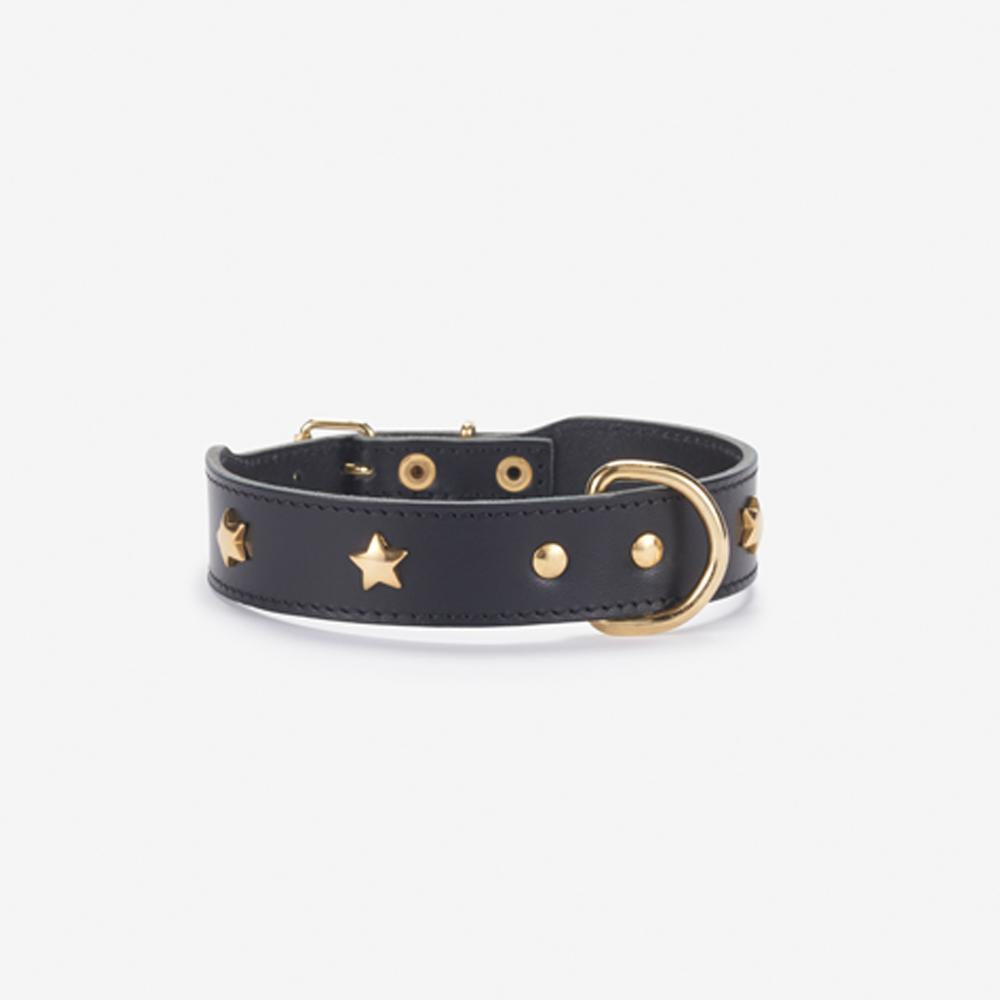 Collar Branni Pets Star