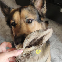 Cargar imagen en el visor de la galería, Oreja de ciervo con pelos